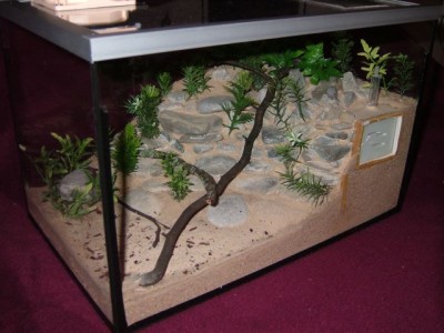 formicarium21.jpg
