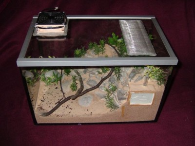 formicarium23.jpg