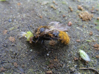 K800_sdasdf34 (3).JPG