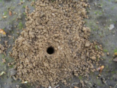 K800_sdasdf34 (2).JPG