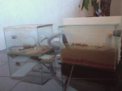 farm und arena 1.2.jpg