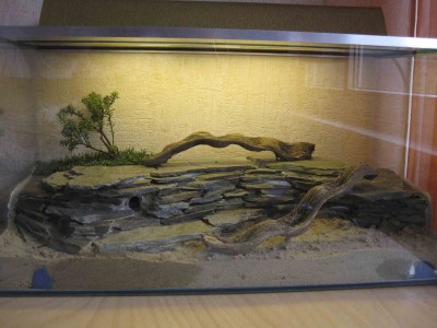 Formicarium 1.jpg