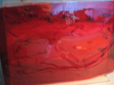 Die kleine Farm^^ / farm_folie.jpg farm_folie.jpg