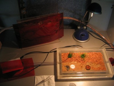 Die kleine anlage. / anlage.jpg anlage.jpg