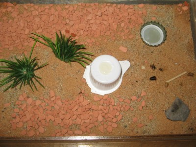 Hier die zweite insel. / zweite insel.jpg zweite insel.jpg