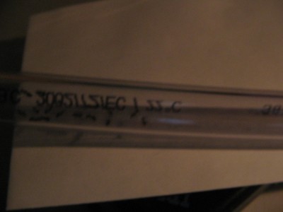 ameisen beim wärmen.jpg