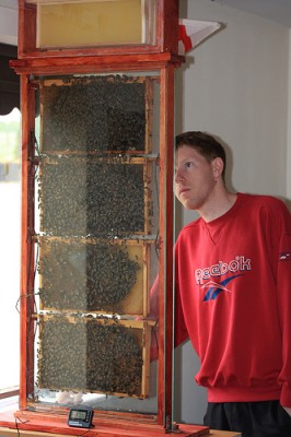 Adam and beehive.jpg