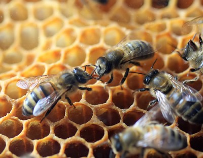 worker being feed.jpg