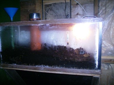 myrboxxx1.JPG (73.96 KiB) 4703-mal betrachtet myrboxxx1.JPG