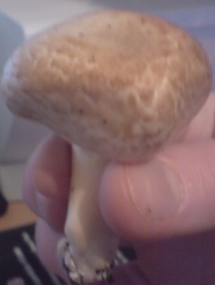 DSC00771.JPG (181.44 KiB) 1754-mal betrachtet DSC00771.JPG