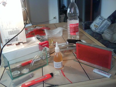 mein armeisenzuhause.JPG