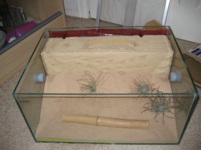 formicarium 001.JPG