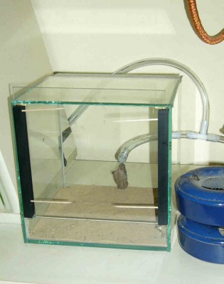 009 abfallbecken lol.jpg