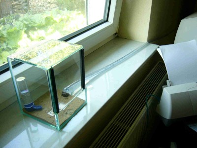 012 futterbecken.jpg