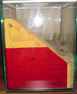 Ytong mit roter Folie.jpg