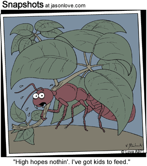 00655-funny-cartoons-ant-high-hopes.gif