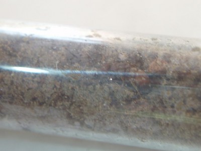 Kópia – P8150164.JPG