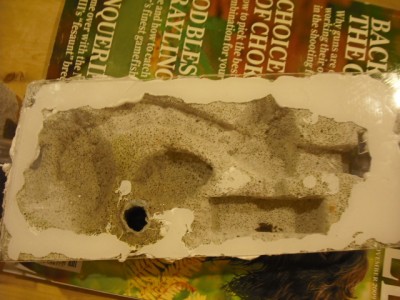 lewis picture 2 483.jpg