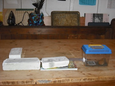 lewis picture 2 458.jpg