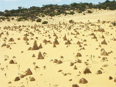 022 Kindergarten web.jpg