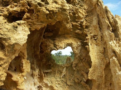 020 mit Fenster web.jpg