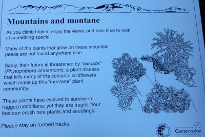 38-143 Dieback Info web.jpg