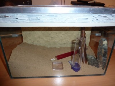 P1000766 kleiner.jpg