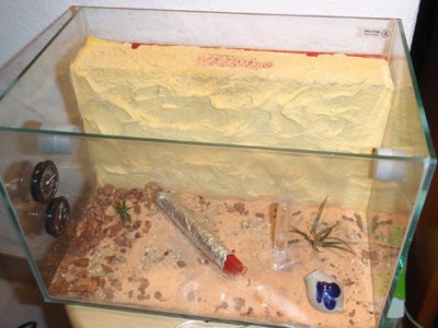 Formicarium.jpg