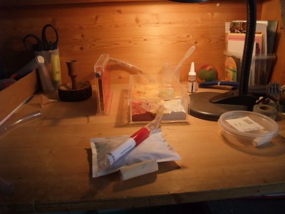 Ameisen 05.04.10 006.jpg