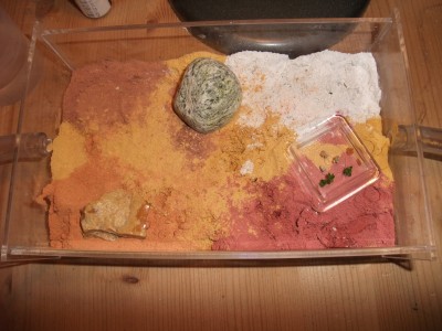 Ameisen 05.04.10 016.jpg