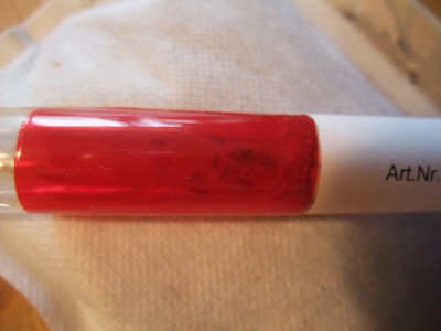 Ameisen 05.04.10 2 017.jpg