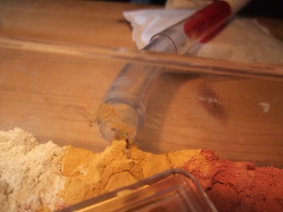 Ameisen 05.04.10 2 016.jpg