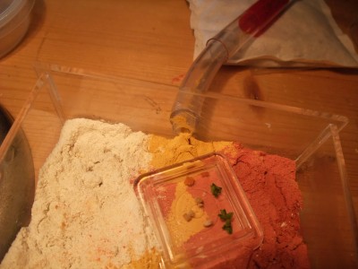 Ameisen 05.04.10 023.jpg