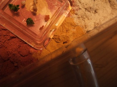 Ameisen 05.04.10 024.jpg