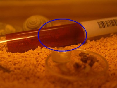 puppen_oben (Medium).JPG