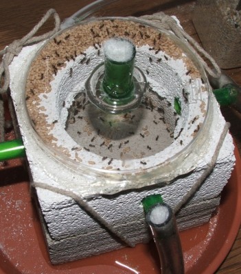 DSCF6706 - Kopie.JPG