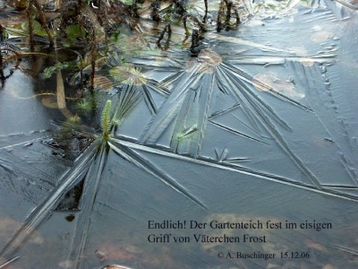 2006 Dez 15 Frost web.jpg