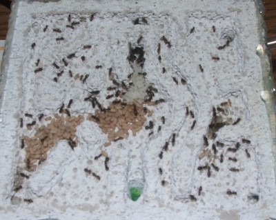 b2.JPG (168.84 KiB) 7170-mal betrachtet b2.JPG