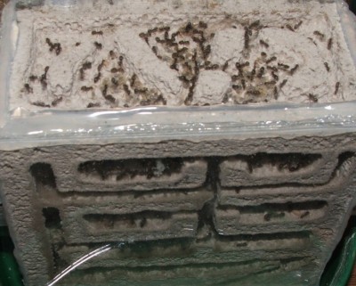 b3.JPG (182.41 KiB) 7179-mal betrachtet b3.JPG