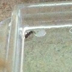 19.07.2010 (002).JPG