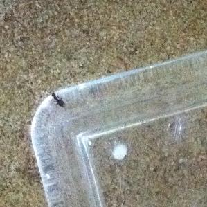 19.07.2010 (003).JPG