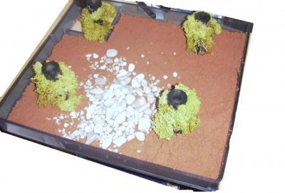 Unterbecken fertig.JPG