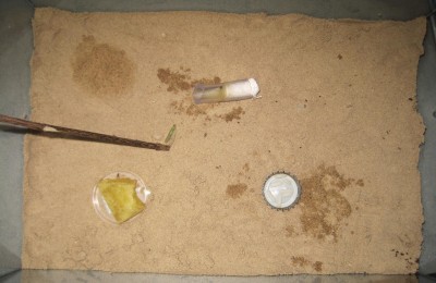 ameisengetier 015 FORUM.JPG