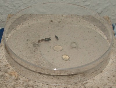 DSCF7010 - Kopie.JPG