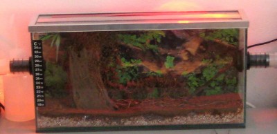 IMG_Haltungsbericht bild 1.jpg