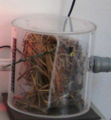 IMG_Haltungsbericht bild 3.jpg