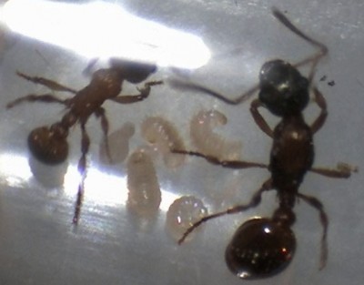 vor einer Woche 1.jpg