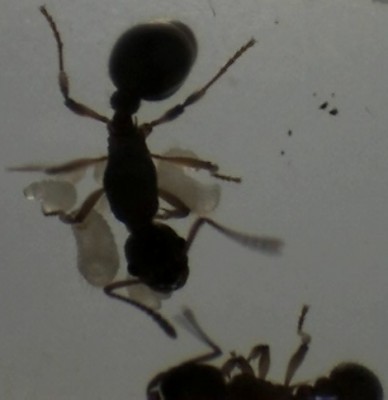 vor einer Woche 2.jpg