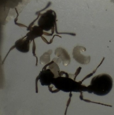 vor einer Woche 3.jpg