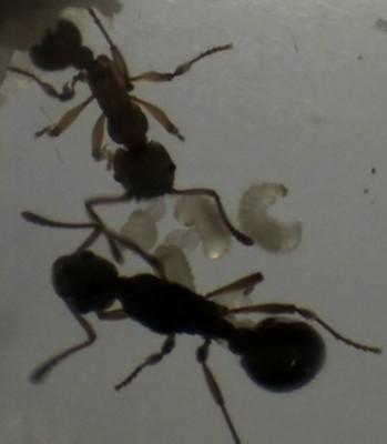 vor einer Woche 4.jpg